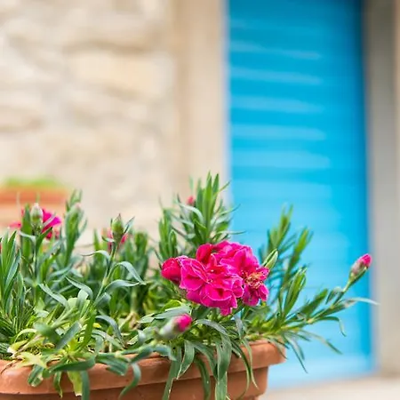 House Vera Lägenhet